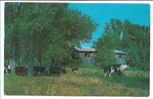 N. Ferrisburg, VT - Old Covered Bridge - 1960s