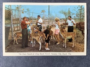 The Deer Ranch At Long Beach Resort Panama City FL Chrome Postcard H1224085822