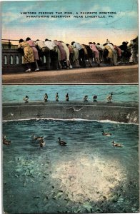 Multi View, Visitors Feeding Fish Linesville PA Pymatuning Vintage Postcard L23