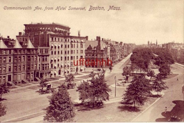 COMMONWEALTH AVE., FROM HOTEL SOMERSET, BOSTON, MA. horsedrawn carriages