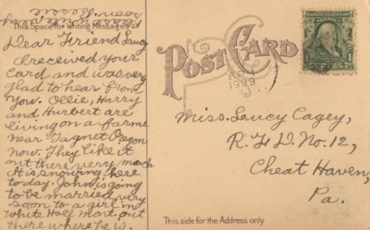 telephone postcard: Experience is Good If Not Bought Too Dear