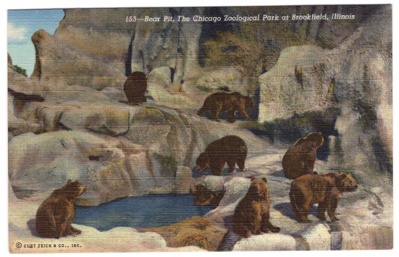 Bear Pit, The Chicago Zoological Park at Brookfield, Illinois