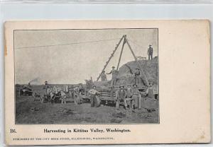 ETAT-UNIS : harvesting in kittitas valley, washington - etat