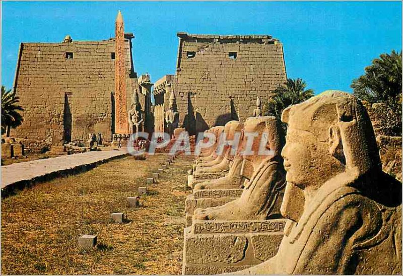 Postcard Modern Luxor Avenue of Sphinxes in Luxor Temple