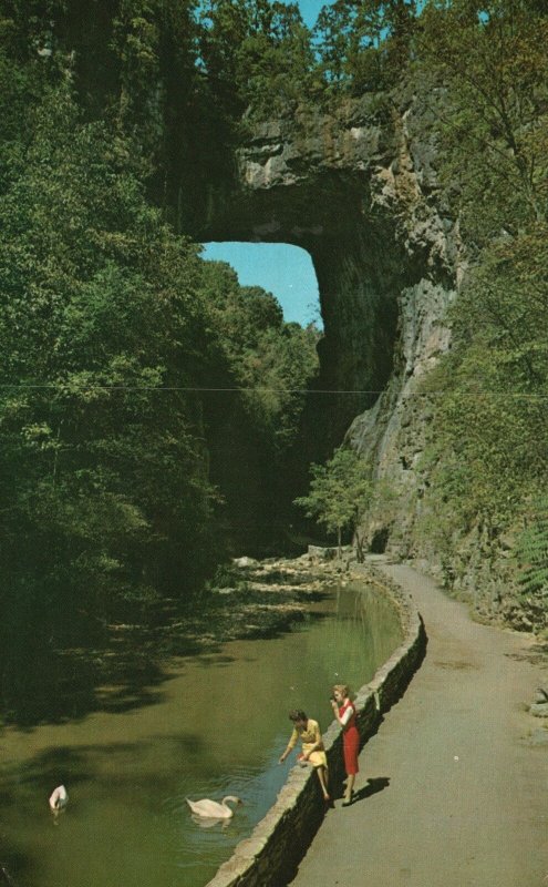 Vintage Postcard 1967 Girls On Lake Attraction Roadway Natural Bridge Virginia