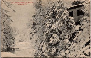 Snowy Trees, Palisades Park in Winter, Stowe VT c1912 Vintage Postcard Y71