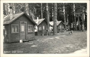 Yosemite National Park Lodge Cabins 1930s-40s Real Photo Postcard