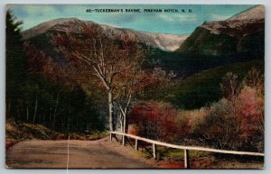 White Mountains  Tuckerman's Ravine  New Hampshire  Postcard  1943