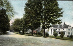 Montclair New Jersey NJ South Mountain Ave c1910 Vintage Postcard