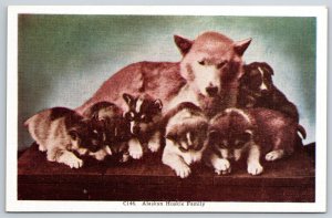Animals~Alaskan Husky Dog Family W/ Puppies~HH Tammen Vintage Linen Postcard