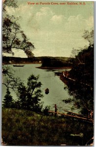 View at Purcels Cover Near Halifax Nova Scotia c1912 Vintage Postcard S15