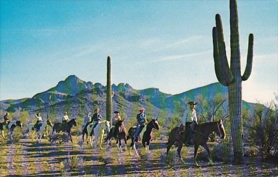 Riders On The Arizona Desert Phioenix Arizona