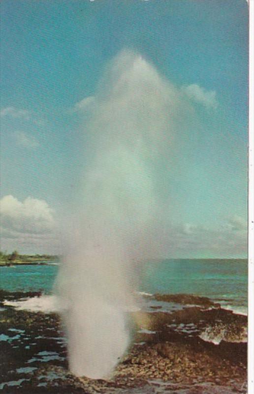 Hawaii Kauai Spouting Horn Sea-Water Geyser