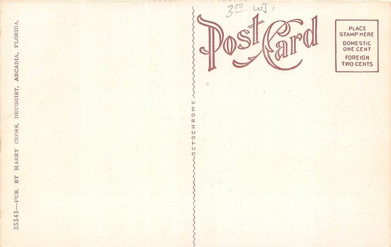 F13/ Arcadia Florida Postcard c1910 Opera House Building