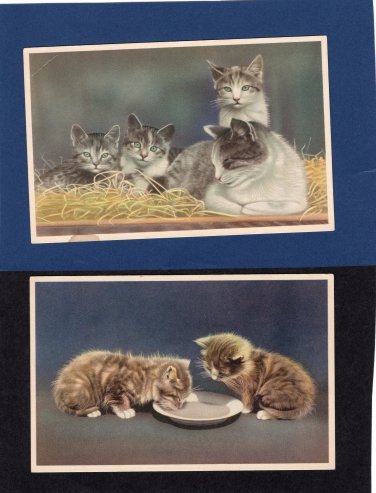 Two Mainzer Cats, Vintage Postcards, Animals, Felines, Pets, Fuzzy Kittens