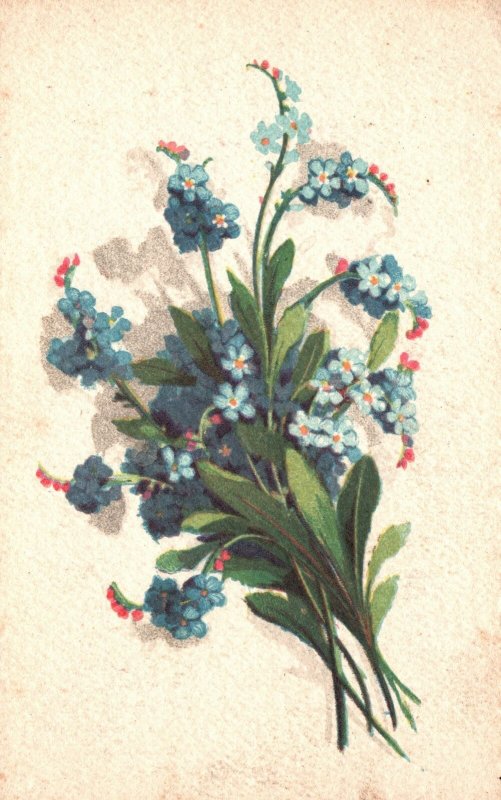 Vintage Postcard 1910's  Bonne Fete Blue Flowers Seria Artistica Acquarello IT