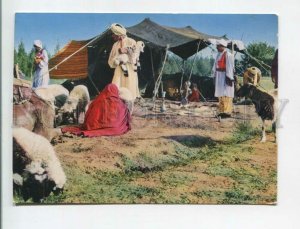 471031 Afghanistan Nomade camp tourism advertising Old postcard