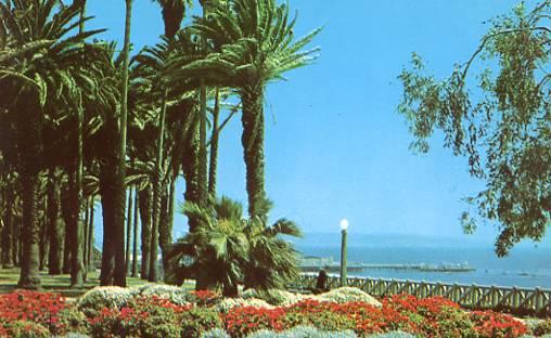 CA - Santa Monica. View in Palisades Park