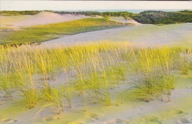 Massachusetts View Of Sand Dunes Cape Cod National Seashore 1968