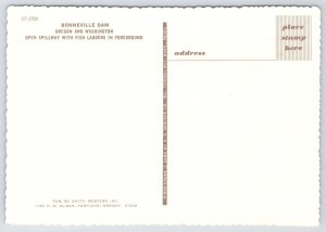 Oregon~Open Spillways @ Bonneville Dam~Continental Postcard