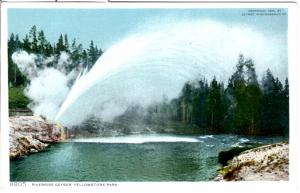 YELLOWSTONE, DETROIT PUBLISHING, RIVERSIDE GEYSER, DIVIDED BACK