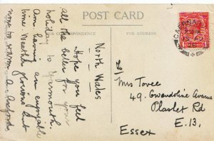 Family History Postcard - Tovee - Plashet Road - Essex - Ref 2816A