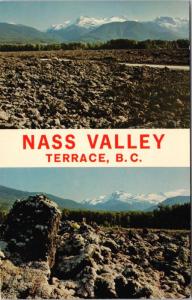 Nass Valley Terrace BC Lava Beds Multiview Unused Vintage Postcard D65