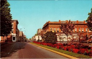 Dover, DE Delaware  LOCKERMAN STREET SCENE  Stores~Flowers  ca1960's Postcard