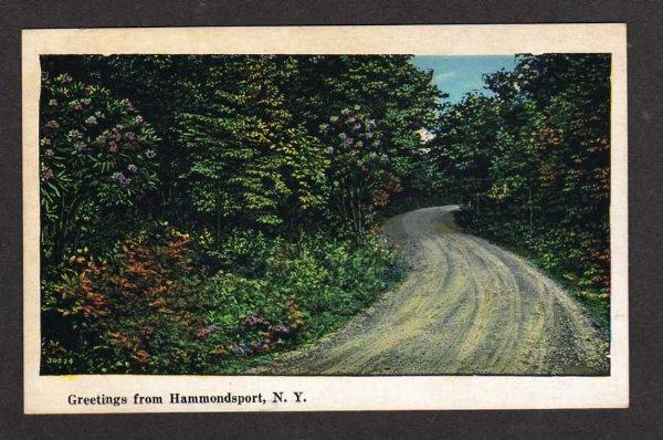 NY Greetings from HAMMONDSPORT NEW YORK Postcard PC