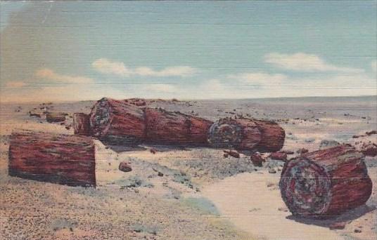 Drift Logs In Second Forest Petrifeid Forest Arizona