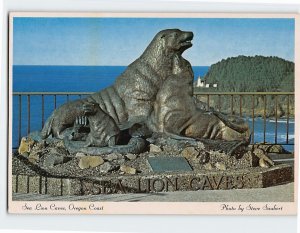 Postcard Sea Lion Caves, Oregon Coast, Florence, Oregon