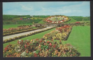 New Brunswick BEECHWOOD Beautiful Floral Clock on Saint John River ~ Chrome