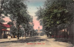 Chico California Sycamore Street Vintage Postcard AA66130