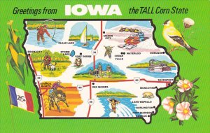 Greetings From Iowa The Tall Corn tate