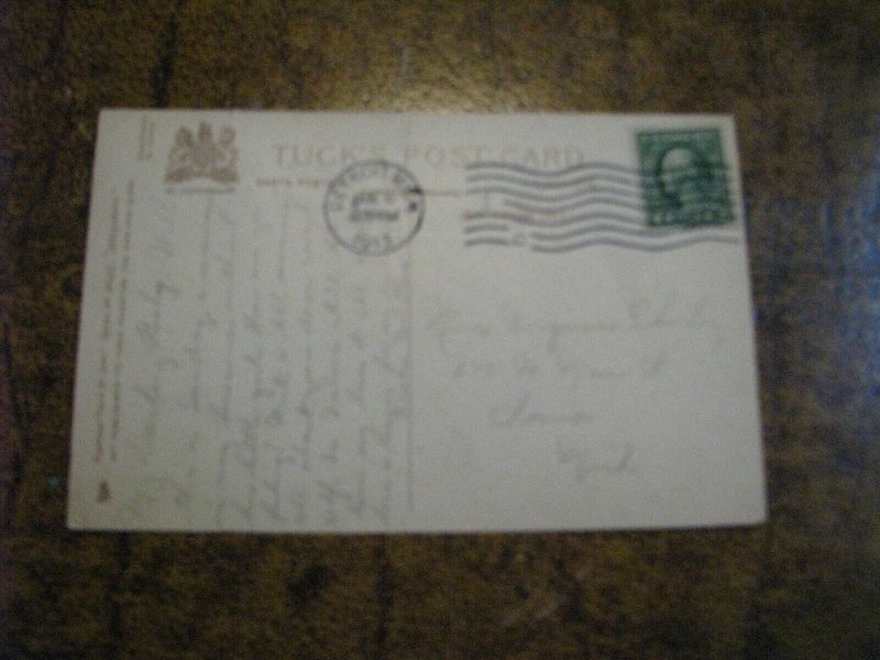 Vintage Alligator Postcard Tuck Series #2645 Look Pleasant 1913 Postmark