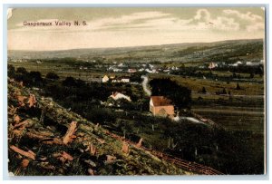 c1910 Houses at Gasperaux Valley Nova Scotia Canada Antique Unposted Postcard