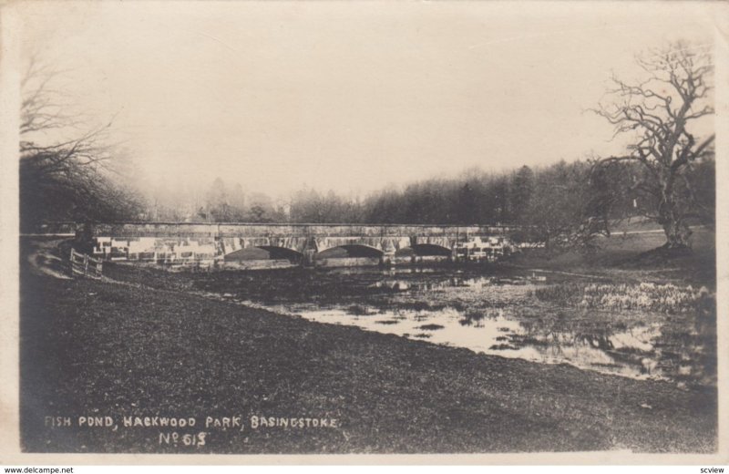 RP: Basingstoke , England , 1904 ; Fish Pond , Hackwood Park