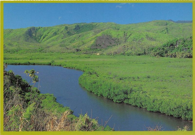 BR9049 Riviere de la cote est    new caledonia