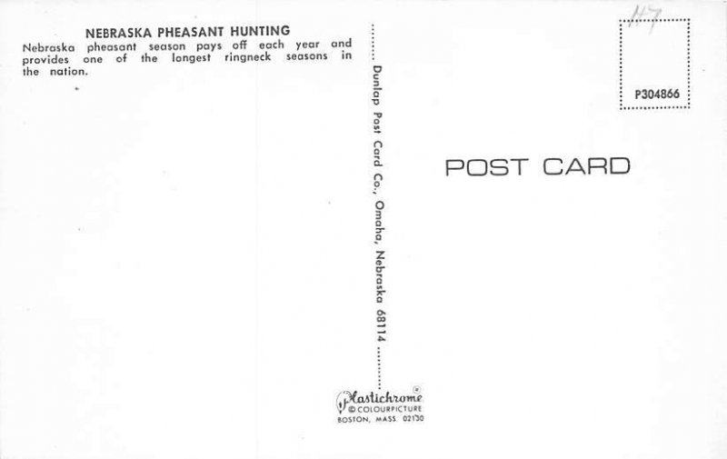 Pheasant Bird Unused 