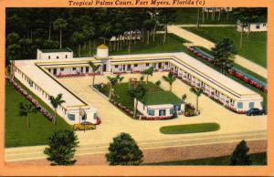 Florida Fort Myers Tropical Palms Court