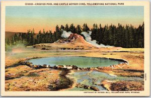 Crested Pool & Castle Geyser Cone Yellowstone National Park Attraction Postcard