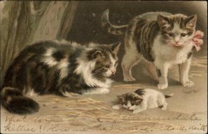 Fluffy Mother Cat Cats Watch Newborn Kitten c1910 Vintage Postcard