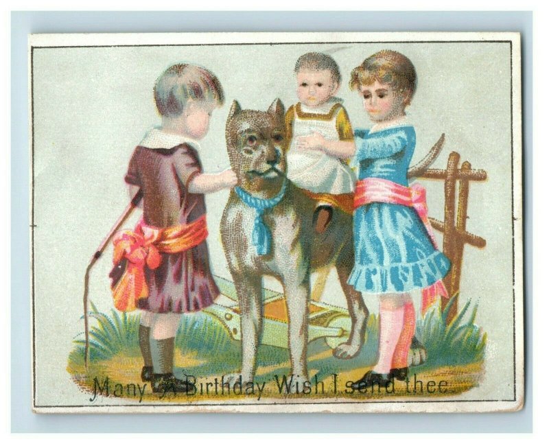 1880's Dog Kids Miller's Tea Coffee Cleveland, OH Trade Cards P120