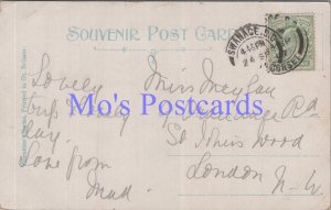 Genealogy Postcard - Meyland, 9 Ordnance Road, St Johns Wood, London GL2098