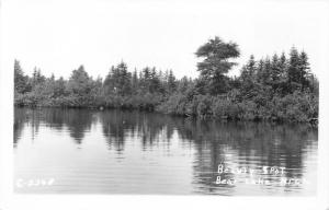 Bear Lake Michigan~Beauty Spot along Lake Shoreline~1940s Real Photo~RPPC