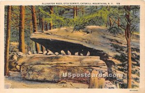 Alligator Rock, Otis Summit - Catskill Mountains, New York NY  