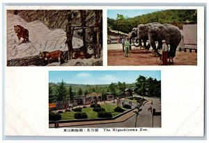 Nagoya Japan Postcard Higashiyama Zoo Elephant Tiger 1950's Vintage Unposted