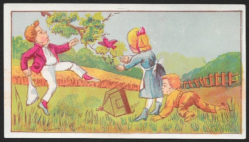 VICTORIAN TRADE CARDS (3) Kids Playing & Riding Huge Turtle