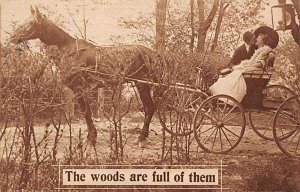 Woods are full of them Horse Drawn Postal Used Unknown 