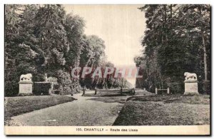 Old Postcard Chantilly Lions Road